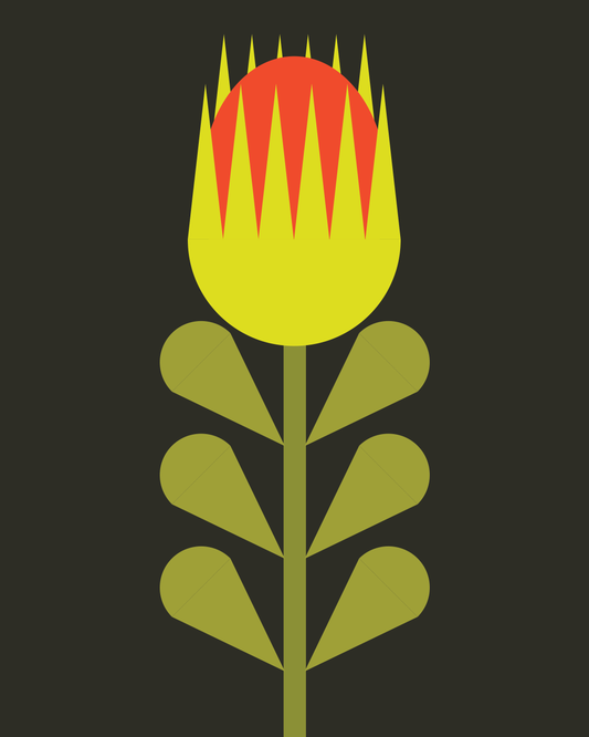 BLOOM 3