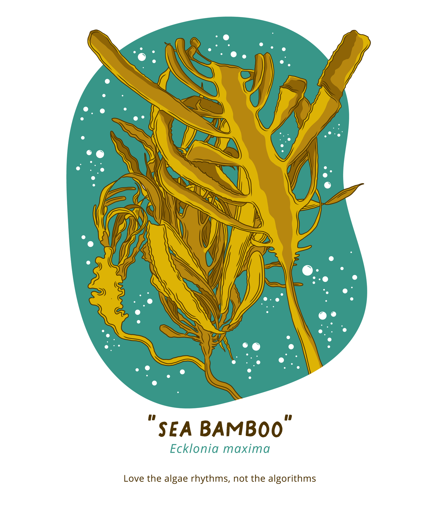 Sea Bamboo Unisex T-Shirt