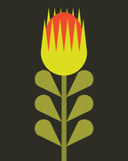 Bloom 3