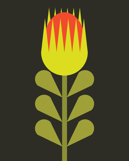 Bloom 3