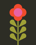 Bloom 1