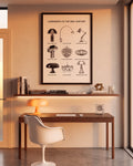 Luminaires of The Mid Century