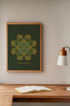Helichrysum Plant