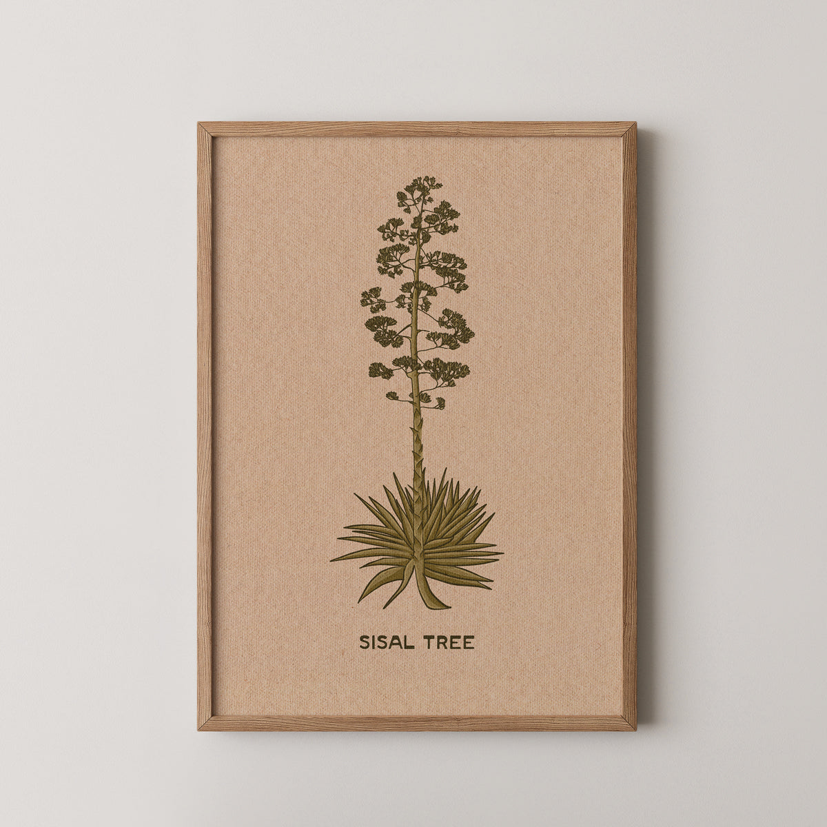 Sisal Tree
