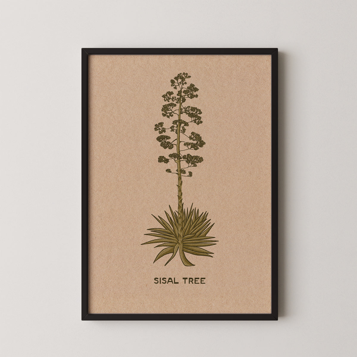 Sisal Tree