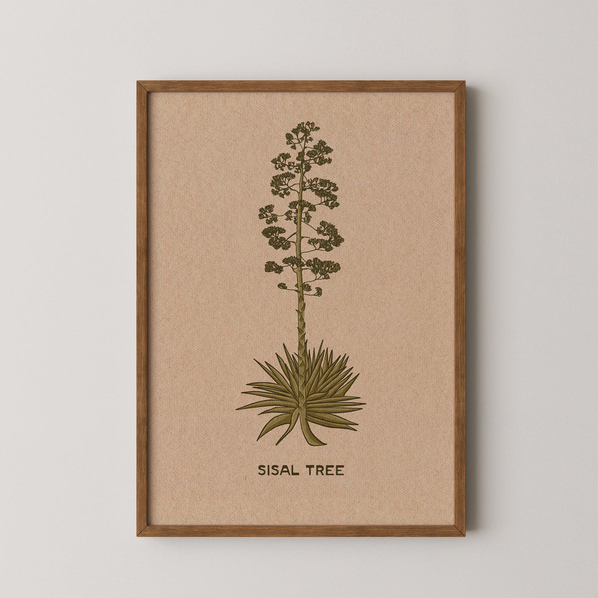 Sisal Tree