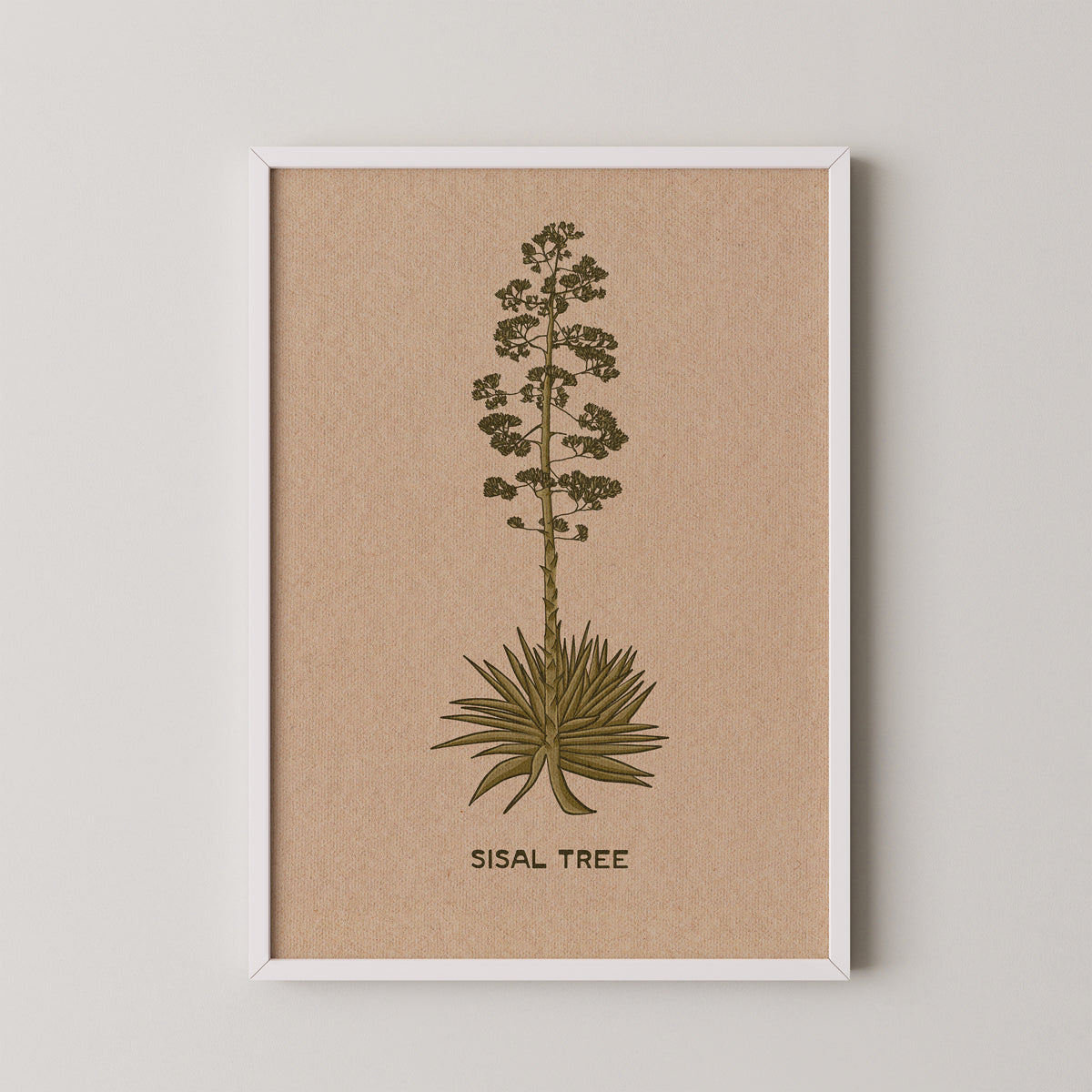 Sisal Tree