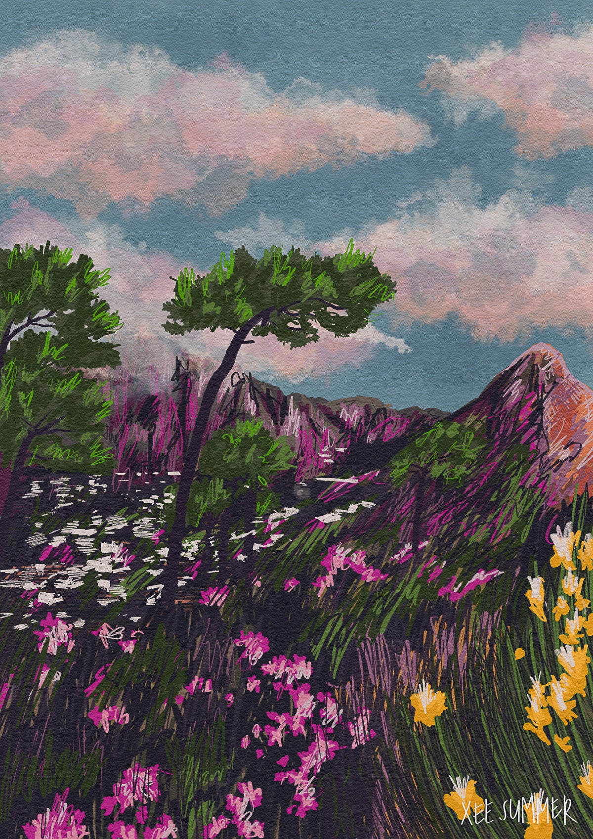 Signal Hill