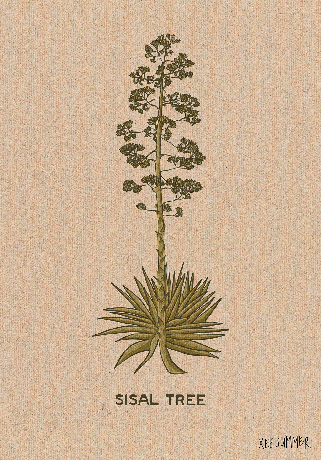 Sisal Tree