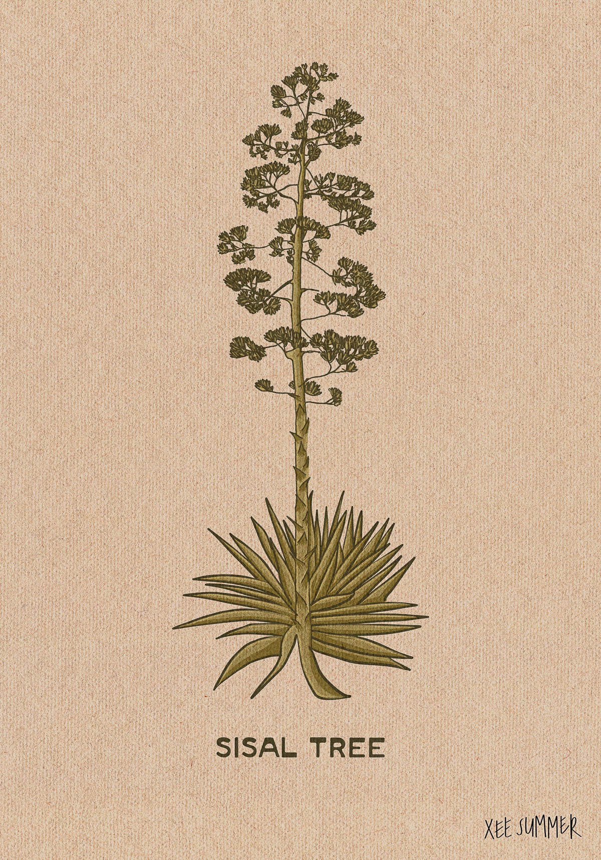 Sisal Tree